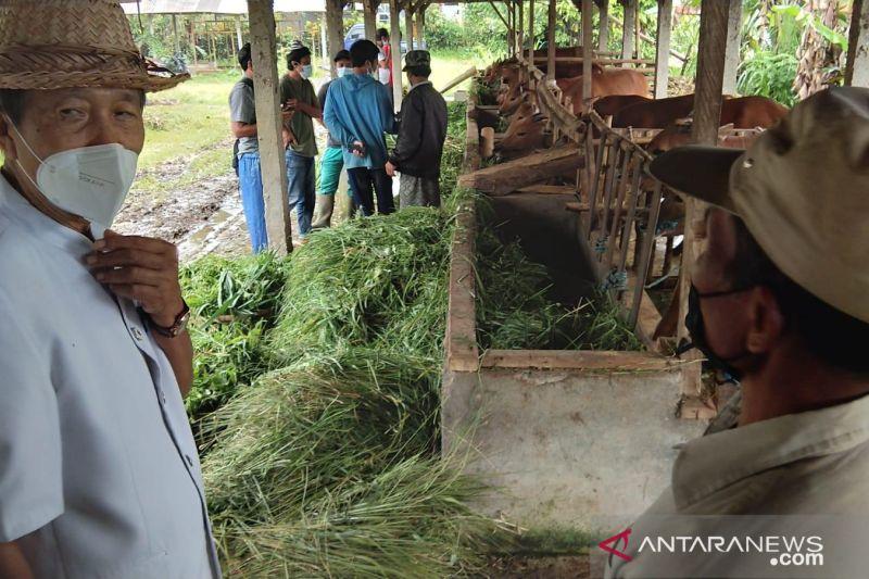 Anggota DPD: Program Simantri Tingkatkan Pendapatan Petani Bali | Bali ...